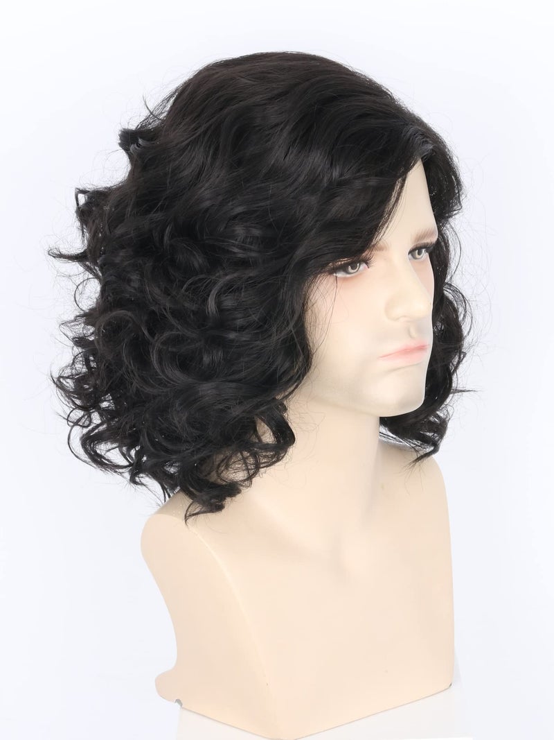 LeMarnia Men's Costume Wig Black Fluffy Short Curly Wig for Halloween Cosplay Costume Wig - Image 2