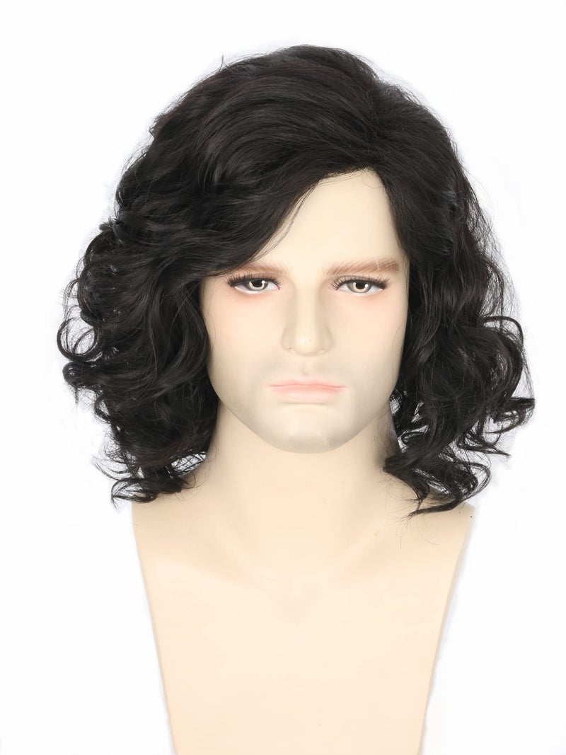 LeMarnia Men's Costume Wig Black Fluffy Short Curly Wig for Halloween Cosplay Costume Wig - Image 1