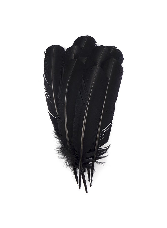ZUCKER Selected Turkey Quills By Pound Bulk Feathers For Crafting Decoration Home Décor Holiday Decorating Weddings And Events Cosplay Costumes Right Wing Feathers Black - Image 1