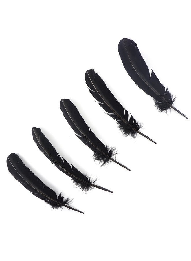 ZUCKER Selected Turkey Quills By Pound Bulk Feathers For Crafting Decoration Home Décor Holiday Decorating Weddings And Events Cosplay Costumes Right Wing Feathers Black - Image 3