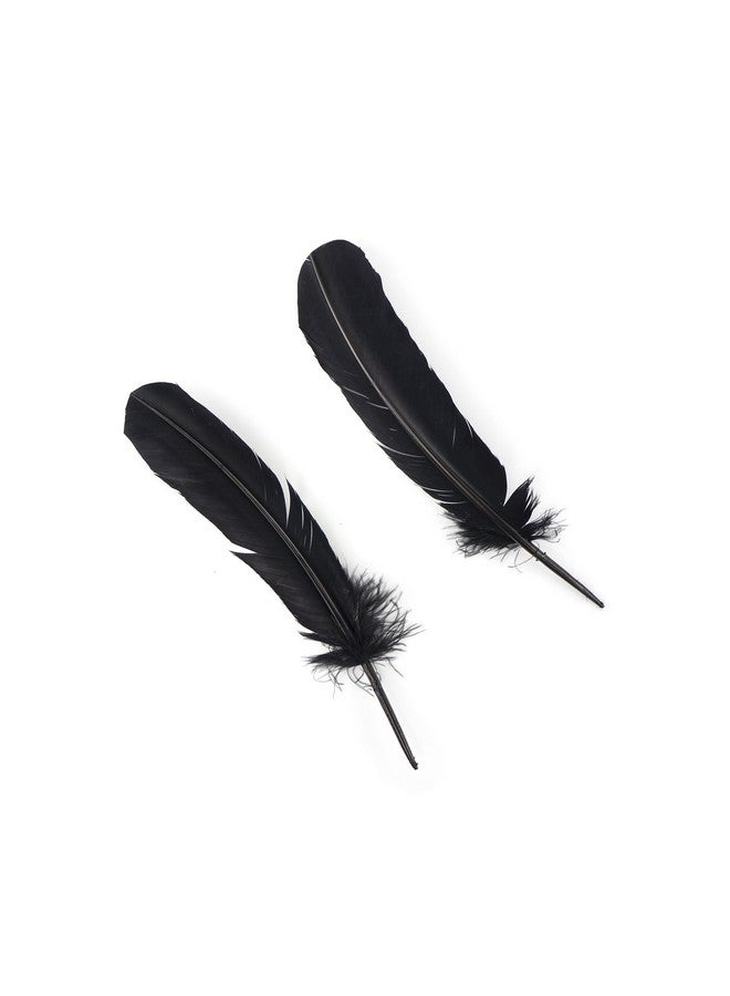 ZUCKER Selected Turkey Quills By Pound Bulk Feathers For Crafting Decoration Home Décor Holiday Decorating Weddings And Events Cosplay Costumes Right Wing Feathers Black - Image 4