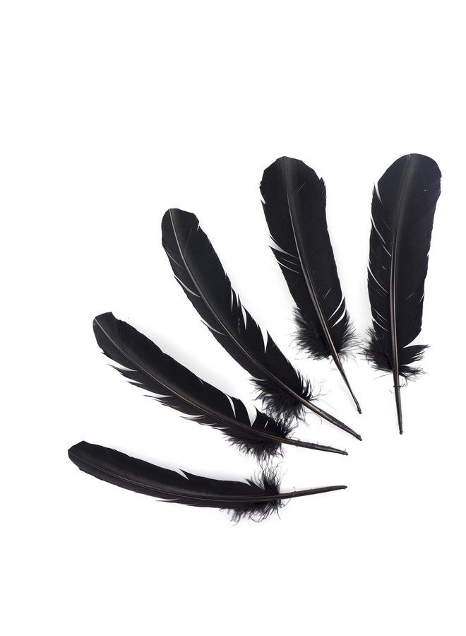 ZUCKER Selected Turkey Quills By Pound Bulk Feathers For Crafting Decoration Home Décor Holiday Decorating Weddings And Events Cosplay Costumes Right Wing Feathers Black - Image 2