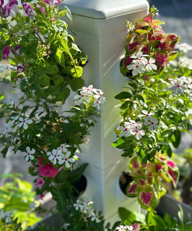 Meridian EXO Garden Hydroponic Growing System Vertical Tower - Vegetable Plant Tower Gift for Gardening Lover - Automate Aeroponics Mini Indoor Outdoor Home Grow Herb - CT - Image 3