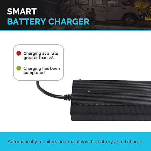 Renogy 12V 20A AC-to-DC Portable Battery Charger Plug-and-Play with 12AWG Alligator Clips for Lithium-iron Phosphate Batteries - Image 4