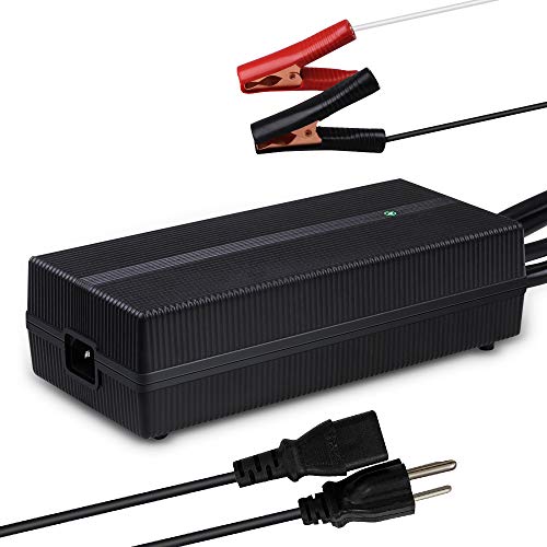Renogy 12V 20A AC-to-DC Portable Battery Charger Plug-and-Play with 12AWG Alligator Clips for Lithium-iron Phosphate Batteries - Image 1