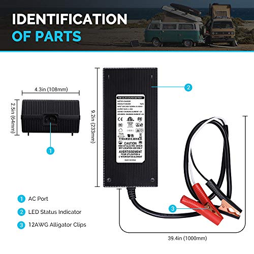 Renogy 12V 20A AC-to-DC Portable Battery Charger Plug-and-Play with 12AWG Alligator Clips for Lithium-iron Phosphate Batteries - Image 3