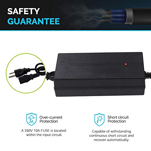 Renogy 12V 20A AC-to-DC Portable Battery Charger Plug-and-Play with 12AWG Alligator Clips for Lithium-iron Phosphate Batteries - Image 2