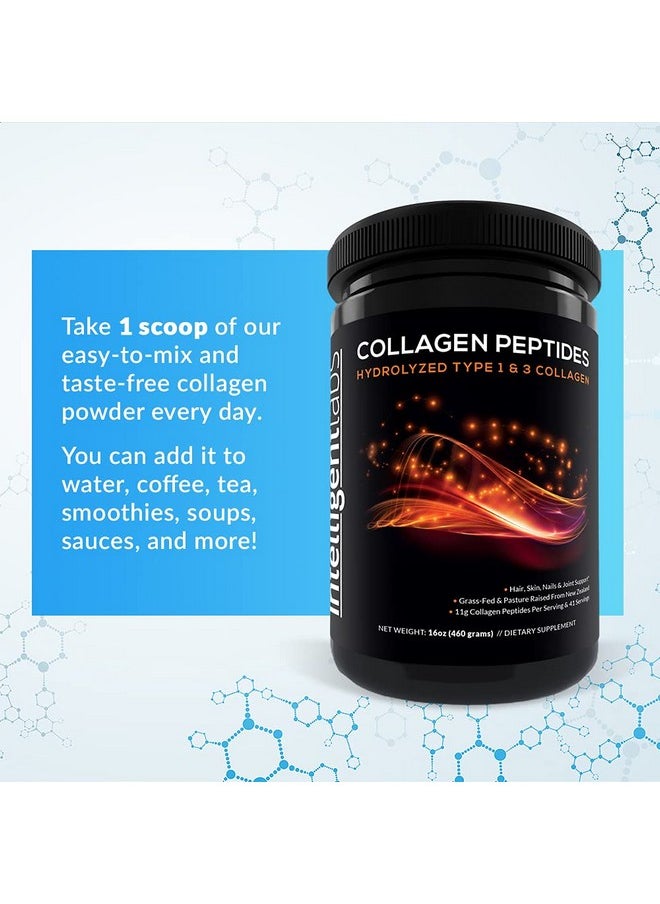 Intelligent Labs Intelligent Labs Hydrolyzed Type 1 and 3 Collagen Peptides Powder, 100% Cruelty-Free and Grass-Fed Bovine, Supports Healthy Hair, Skin, Nails & Joints, 11g per Serving, 41 Servings a Bottle  - Image 3