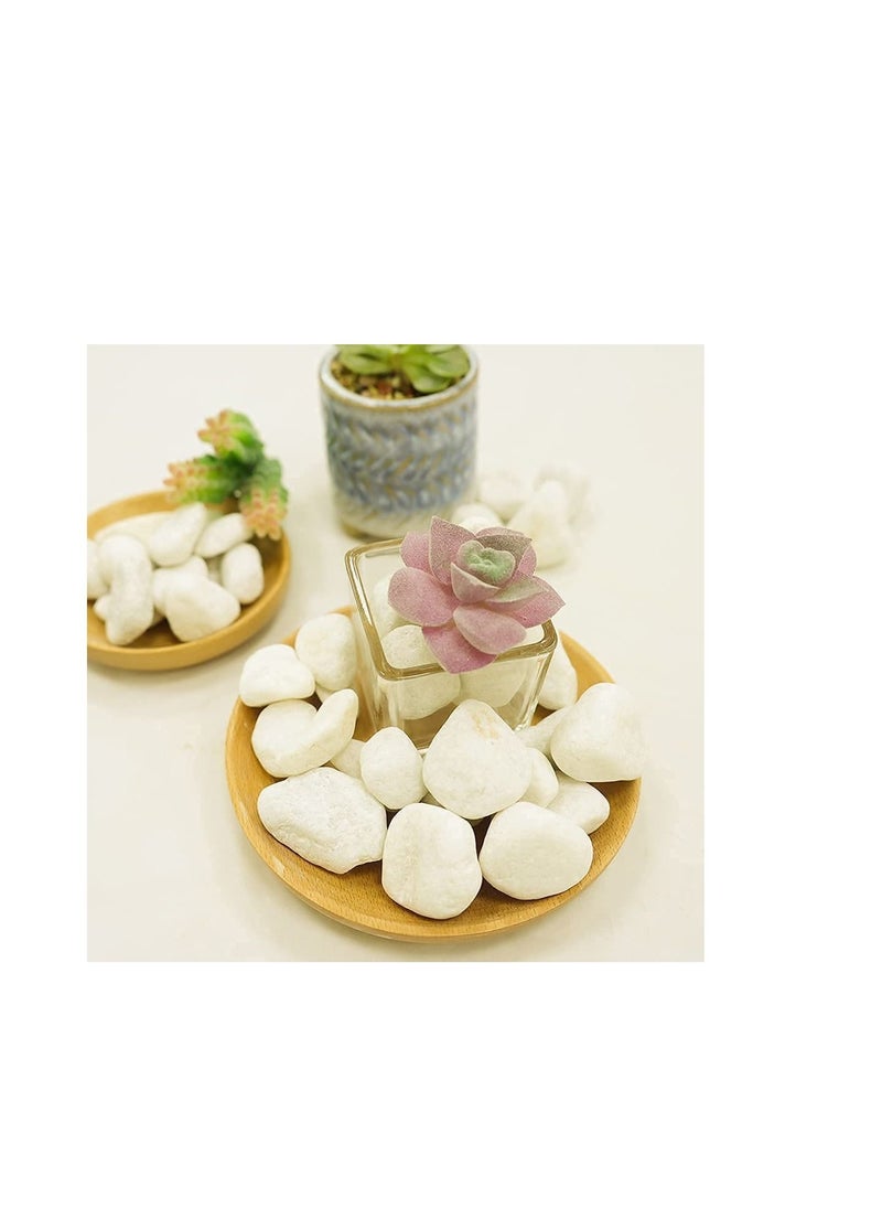 GARDENZ Snow White 2-4 cm Decorative Pebbles Natural Decorative Rocks for Garden Plants Succulents Vase Aquariums Landscape River Stones Outdoor | 20 kgs.  - Image 3