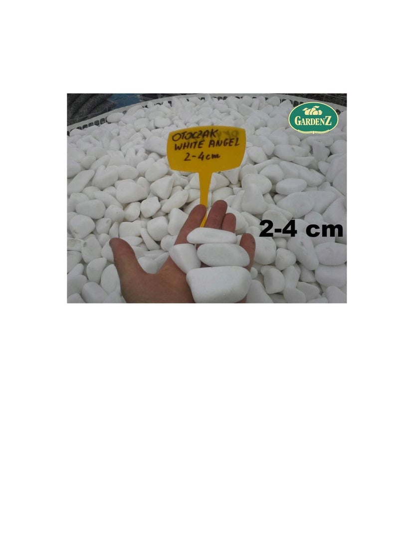 GARDENZ Snow White 2-4 cm Decorative Pebbles Natural Decorative Rocks for Garden Plants Succulents Vase Aquariums Landscape River Stones Outdoor | 20 kgs.  - Image 2
