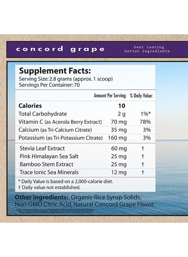 Superieur Electrolytes – Plant Based Electrolyte Supplement w/Sea Minerals for Hydration & Recovery–Keto Friendly, Non-GMO, Zero Sugar, Vegan Healthy Sports Drink Powder – Concord Grape (70 Servings) - Image 3