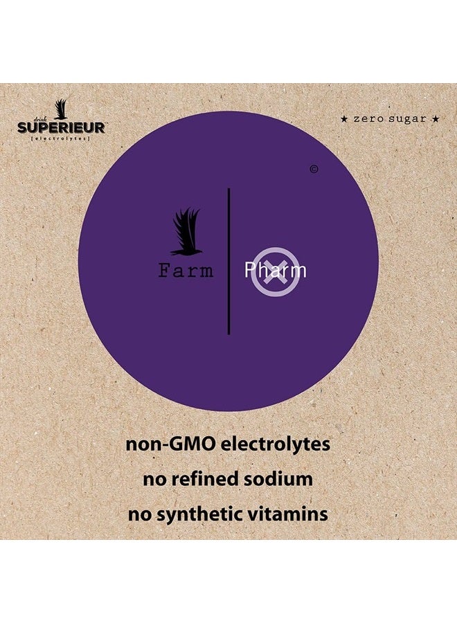 Superieur Electrolytes – Plant Based Electrolyte Supplement w/Sea Minerals for Hydration & Recovery–Keto Friendly, Non-GMO, Zero Sugar, Vegan Healthy Sports Drink Powder – Concord Grape (70 Servings) - Image 4