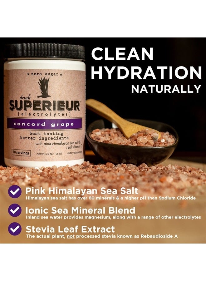 Superieur Electrolytes – Plant Based Electrolyte Supplement w/Sea Minerals for Hydration & Recovery–Keto Friendly, Non-GMO, Zero Sugar, Vegan Healthy Sports Drink Powder – Concord Grape (70 Servings) - Image 2