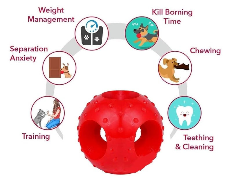 swacch Pet Shampoo | Puppy Safe Shampoo | PH Balanced | Ditch to Itch for Pomeranian Dog Shampoo 2 Litre (Strawberry) + Goofy Ball Chew Toy Combo Pack - Image 4