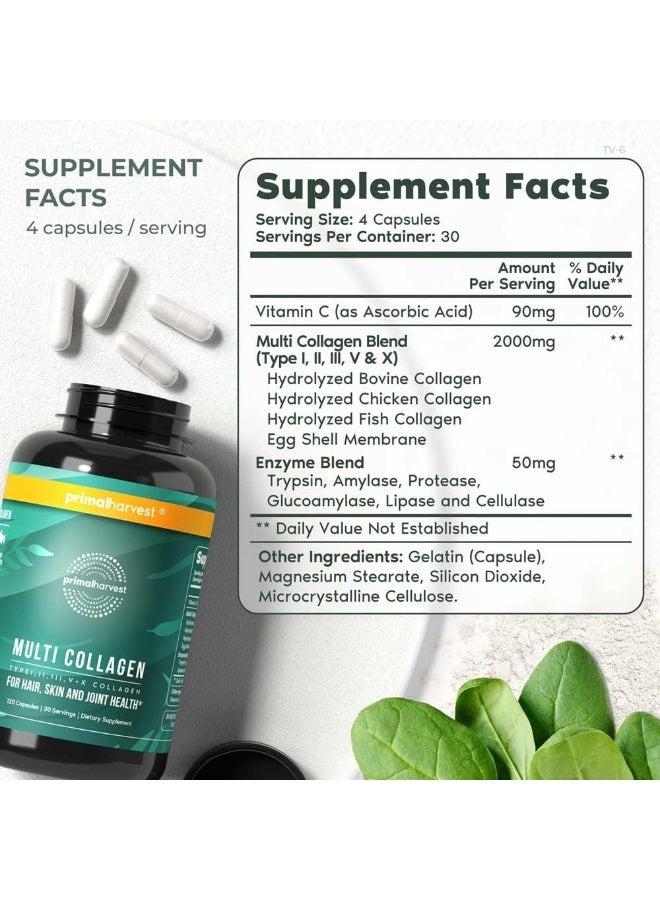 Primal Harvest Multi Collagen Pills For Women And Men (Type I, Ii, Iii, V, X) 120 Capsules W/Vitamin C For Hair, Skin, Nails - Image 2