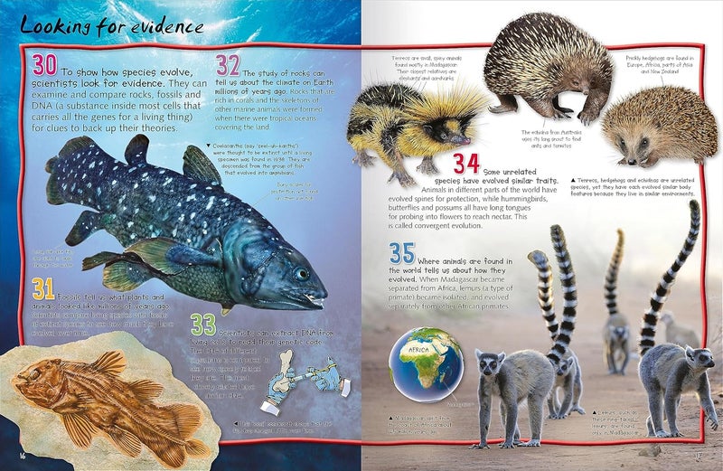 100 Facts Evolution  - Image 2