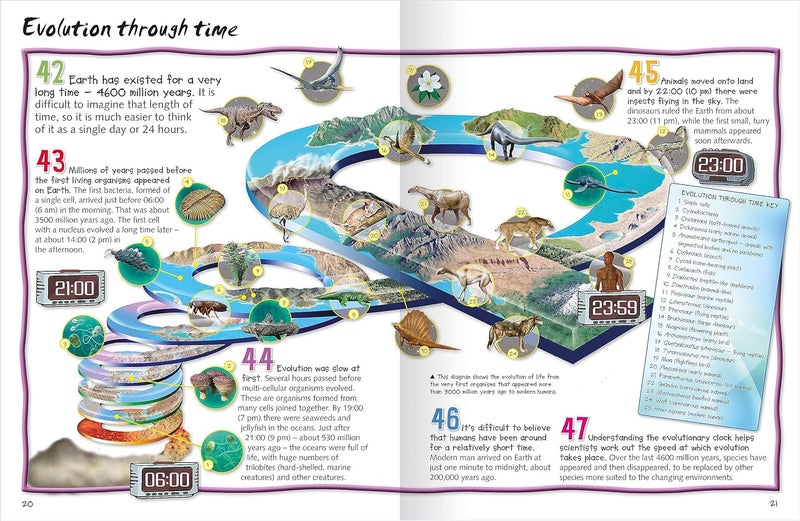 100 Facts Evolution  - Image 3
