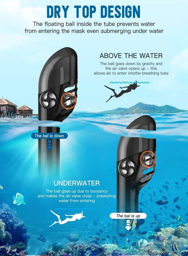 Zenoplige Full Face Snorkel Mask for Adults, 185° Panoramic Anti-Fog Snorkeling Gear with Dry Top System & Camera Mount, Foldable Anti-Leak Design for Travel, Swimming & Ocean Snorkeling - Image 4