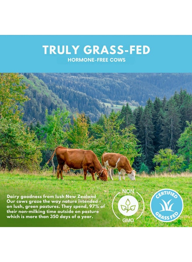 Opportuniteas Grass Fed Chocolate Whey Protein Isolate Powder - 20g Protein Powder Without Artificial Sweeteners, Hormone-Free Cows, Non GMO - 2.5lb - Image 3