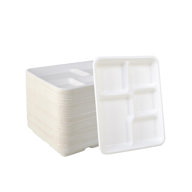 Vplus 100 Compostable 5 Compartment Plates 125 Pack EcoFriendly Disposable Sugarcane 10 x 8 inch Bagasse School Lunch Tray Perfect for Boys and Girls