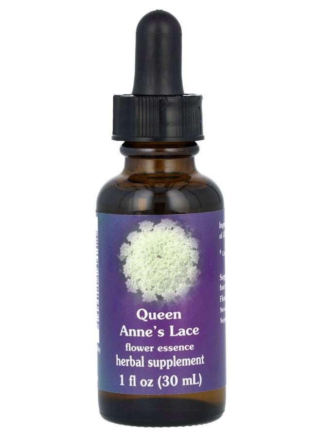Queen Anne's Lace Flower Essence 1 fl oz (30 ml)
