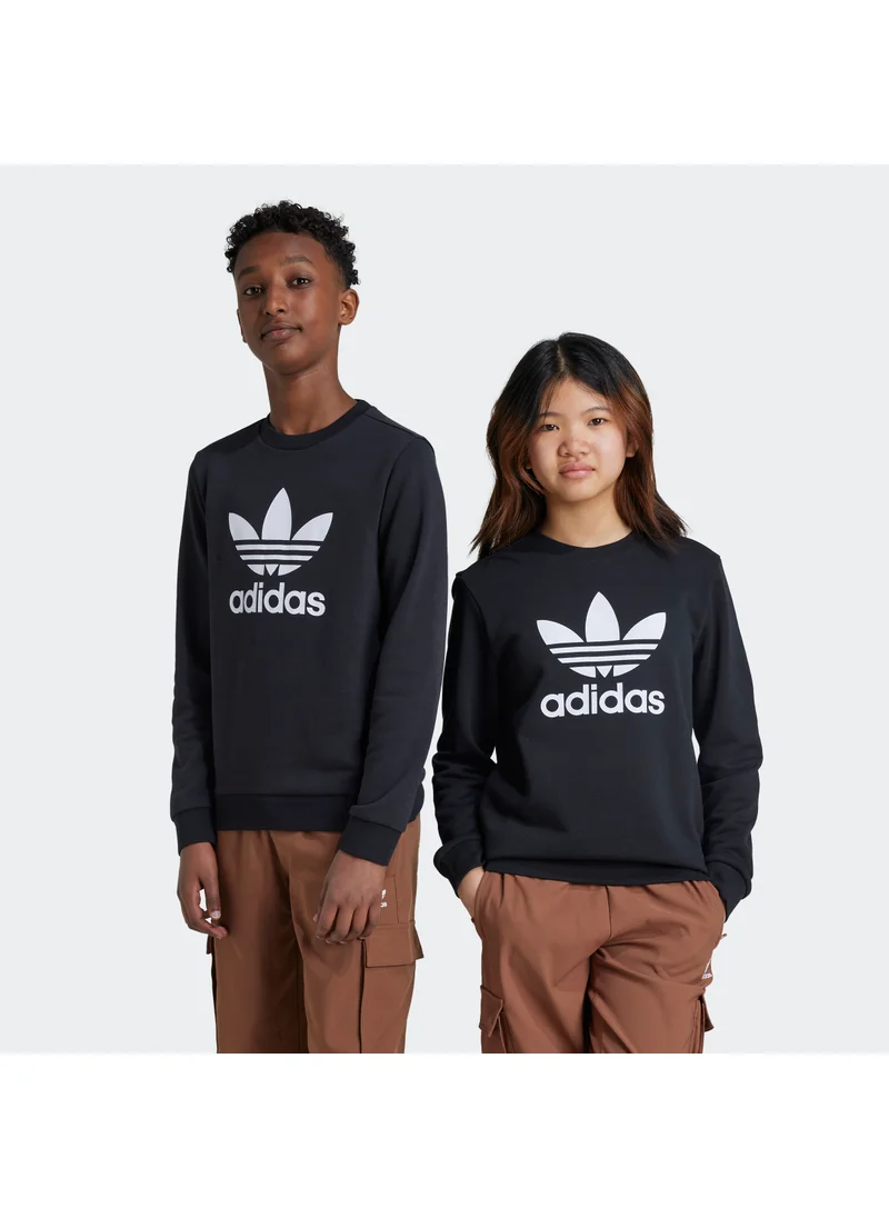 Adidas TREFOIL CREW