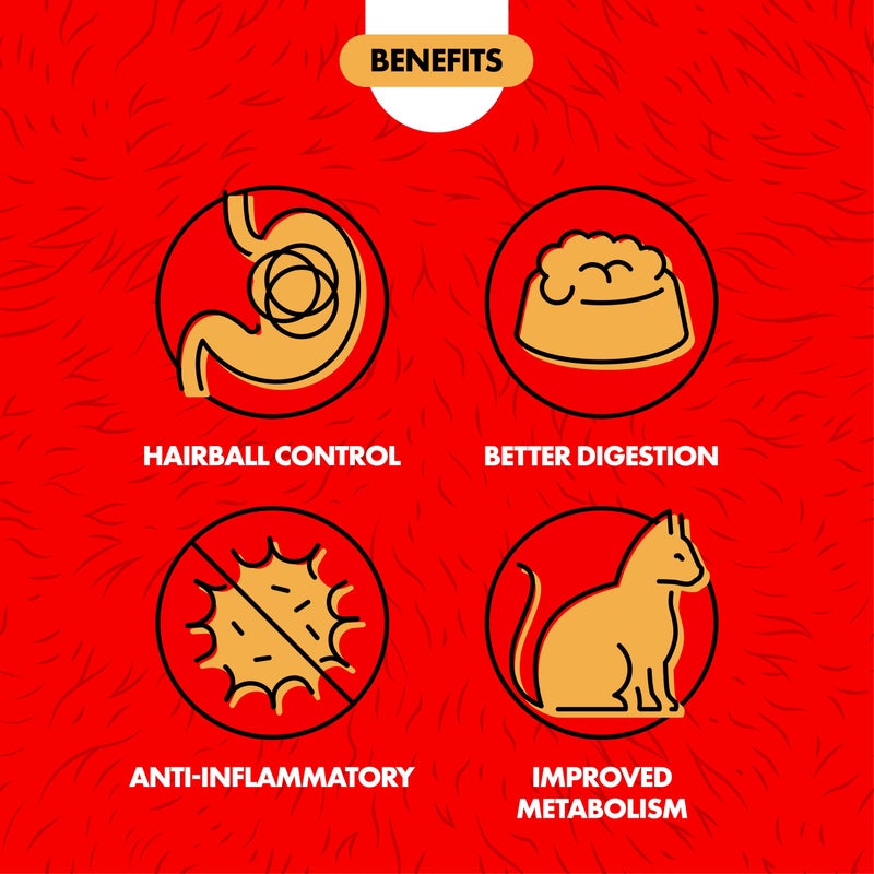 Miracle Care Cat A'bout Cat Grass Kit for Indoor Cats, 5.25 Ounce, Hairball Control, Anti-Inflammatory, Improves Digestion and Metabolism - Image 2