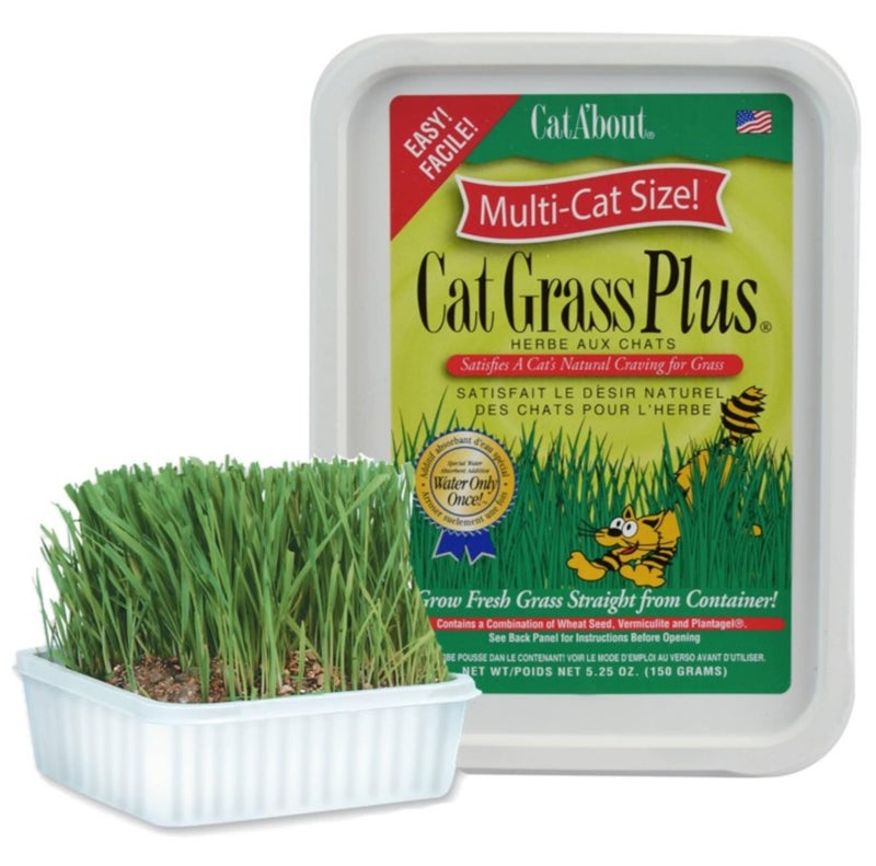 Miracle Care Cat A'bout Cat Grass Kit for Indoor Cats, 5.25 Ounce, Hairball Control, Anti-Inflammatory, Improves Digestion and Metabolism - Image 1