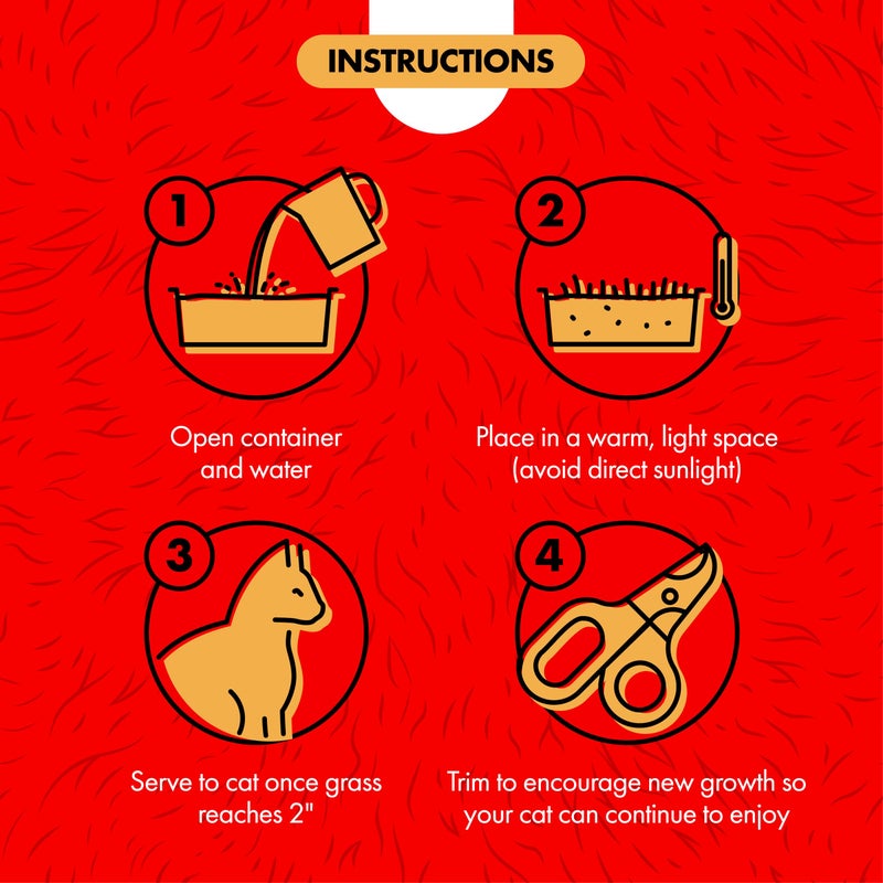 Miracle Care Cat A'bout Cat Grass Kit for Indoor Cats, 5.25 Ounce, Hairball Control, Anti-Inflammatory, Improves Digestion and Metabolism - Image 3