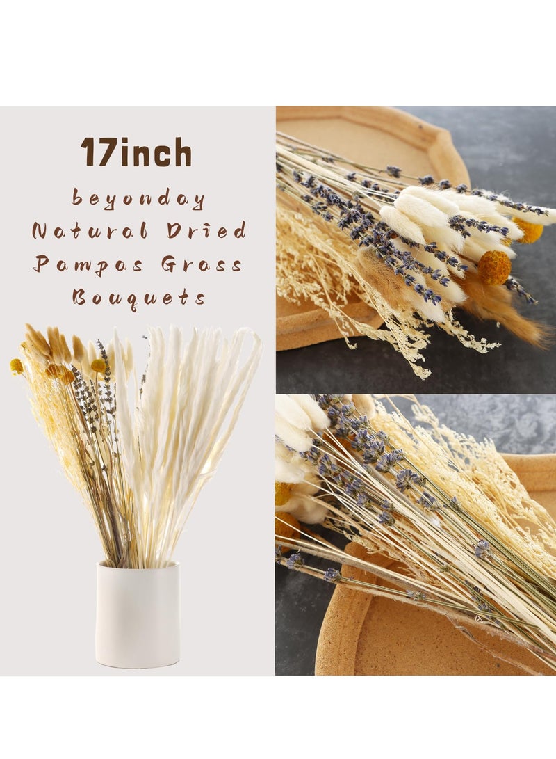 SOLARAE 125pcs Natural Dried Pampas Grass Bouquets 17 inch Various Fluffy Reed Pampas Bunny Tail Grass Dried Plant Wedding Flower Bulrush Decors Photography Farmhouse Store DIY Decoration - Image 2