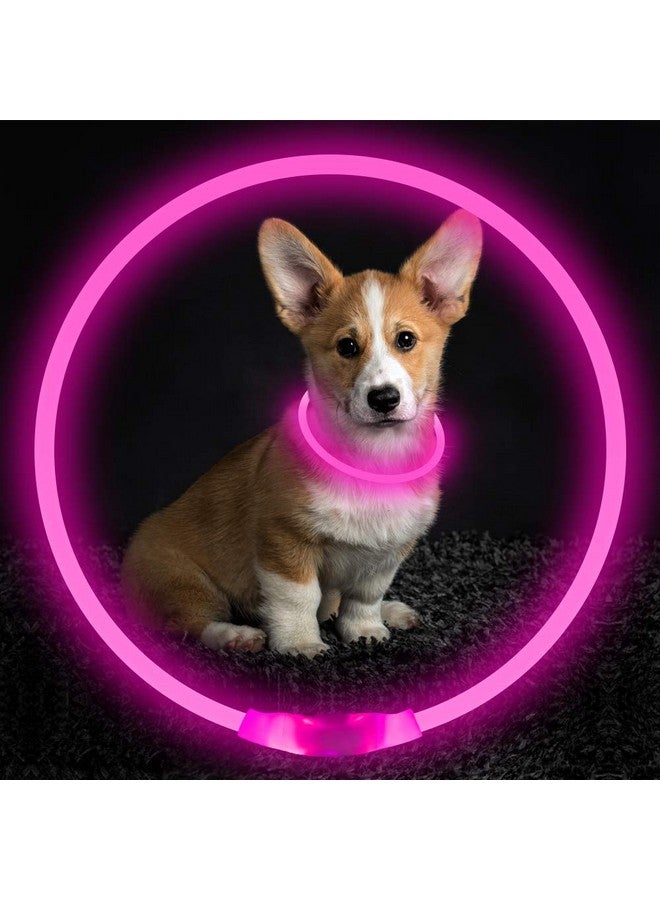 BSEEN Led Dog Collar, BSEEN USB Rechargeable Flash Dog Necklace Light, Pet Safety Collar Makes Your Beloved Dogs Be Seen at Night for Small Medium Large Dogs(Pink) - Image 2