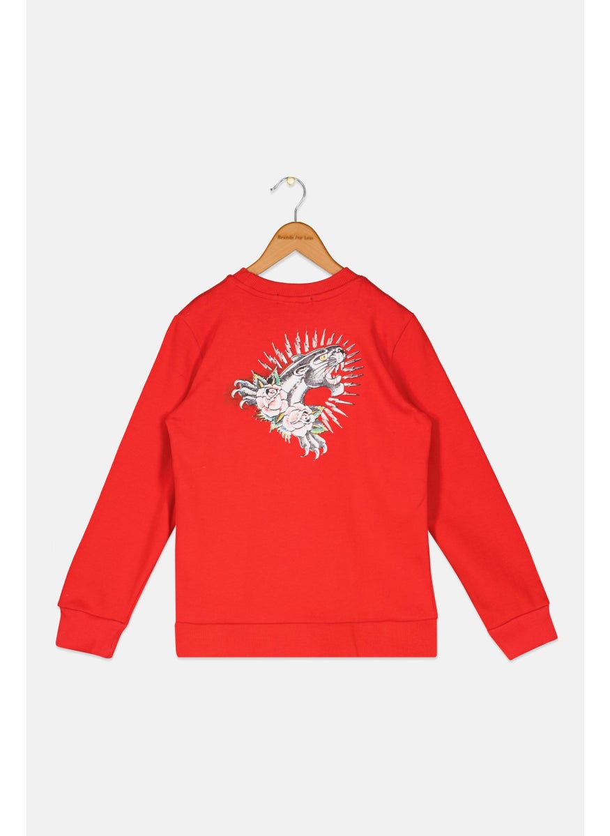 Kids Boy Embroidered Long Sleeve Sweatshirt, Red - pzsku/Z5D4CA93C072630D36B03Z/45/_/1737641915/3472c940-0402-44c5-9e7a-b5f9878b9c96