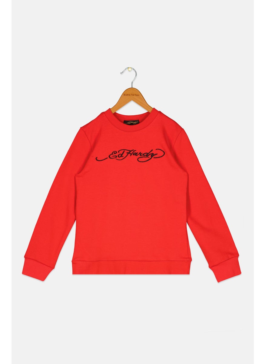 Kids Boy Embroidered Long Sleeve Sweatshirt, Red - pzsku/Z5D4CA93C072630D36B03Z/45/_/1740486174/cc1289da-b6ec-4f36-ad87-e8e8527f5dfd