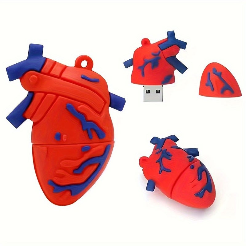 ذاكرة فلاش USB بحجم 128 غيغابايت على شكل كلى (أعضاء بشرية) وموديل جمجمة ودماغ (بندريف) - Image 5