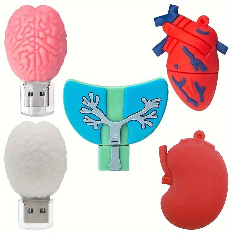ذاكرة فلاش USB بحجم 128 غيغابايت على شكل كلى (أعضاء بشرية) وموديل جمجمة ودماغ (بندريف) - Image 1