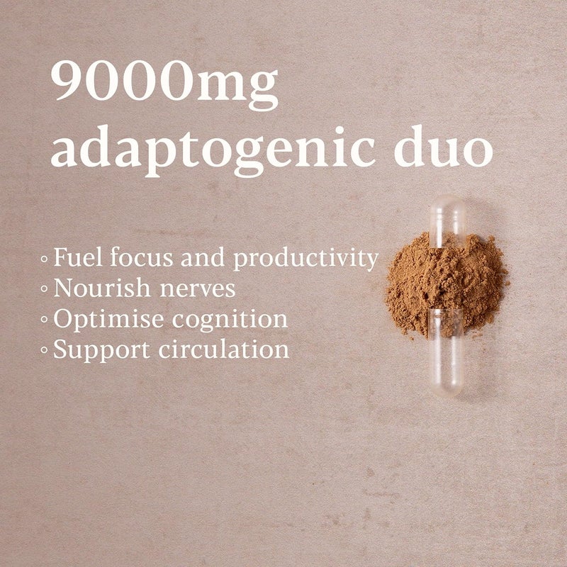 Higher Nature - Lion's Mane & Ginkgo - for High Performance Days - High Strength Ginkgo Biloba 6000mg & Lion's Mane Mushroom 3000mg - Vegan Formula - 30 Capsules - Image 3
