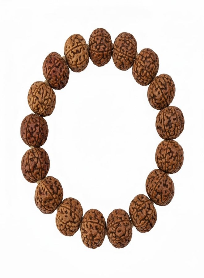 Agatesvibe سوار رودراكشا من أغاتسفايب بسبعة أوجه - خرز رودراكشا طبيعي أصلي للإيجابية والنمو والحماية | سوار علاجي فلكي للثروة والازدهار والتوازن | سوار للجنسين للرجال والنساء - Image 1