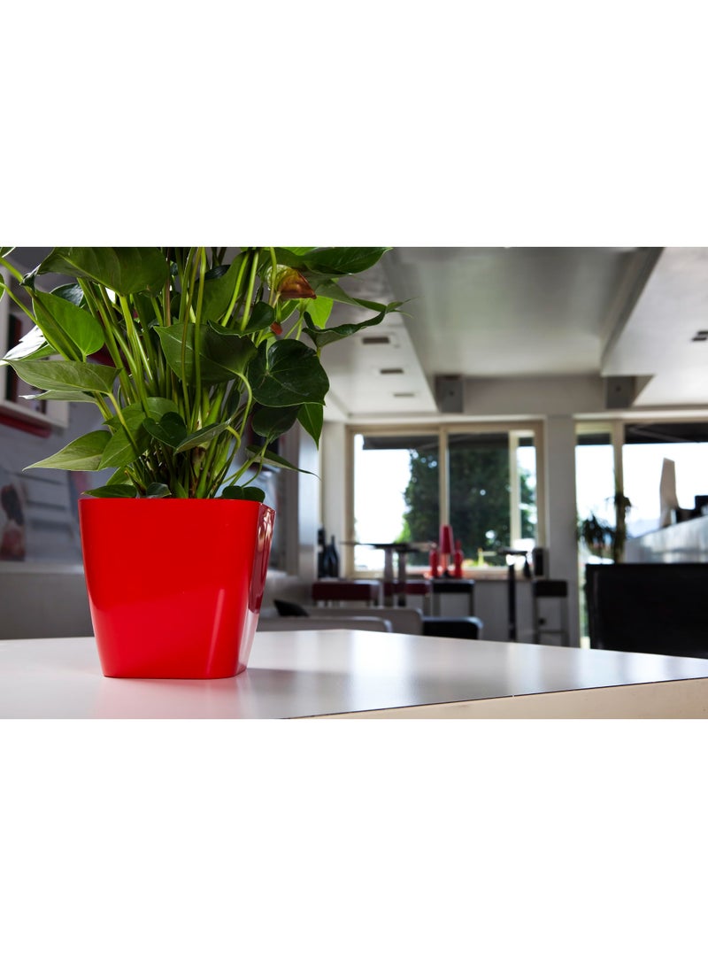 أيدل وعاء زهور بلاستيكي مربع - حاوية نباتات متينة 18 × 18 للاستخدام الداخلي والخارجي - وعاء حدائق زخرفي خفيف الوزن بألوان متعددة - مربع للعيش - صنع في إيطاليا - بواسطة إيديل - Image 2