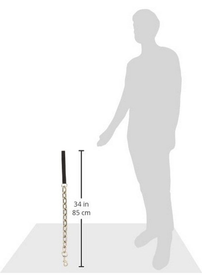 كوستال بيت - سلسلة مرورية عملاقة للكلاب بمقبض من النايلون، لون أسود، 1 بوصة × 30 بوصة - Image 3