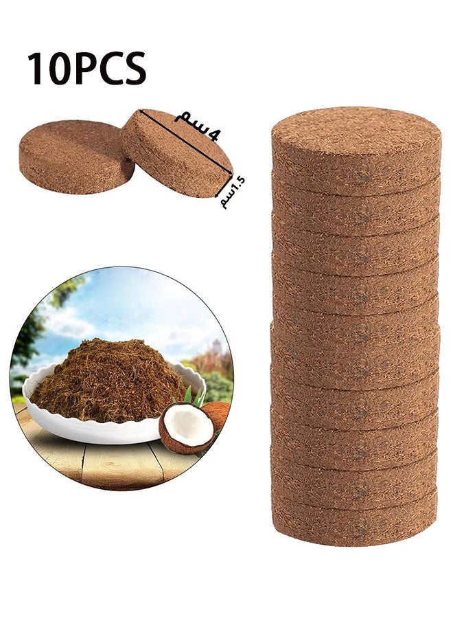 GMORO - Compressed coconut peat disk 4x1.5cm 10pcs set 0.6L - Image 1