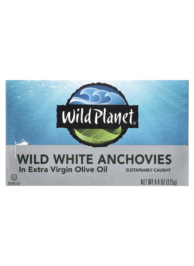 Wild Planet Wild Planet, Wild White Anchovies In Extra Virgin Olive Oil, 4.4 oz (125 g)  - Image 1