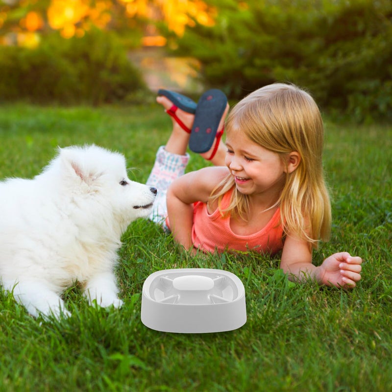 4 In 1 Divided Slow Feeder Bowl Gray Pet Food Container For Controlled Eating - Image 5
