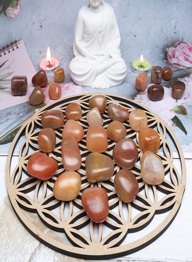 Hindcraft Carnelian Tumbled Stones - Reiki Chakra Healing - Decorative Pebbles & Vase Fillers - Tumble Stone for Jewellery, Vastu Correction - Home Office Decor -Gift Item - 13 Pieces Set - Image 3