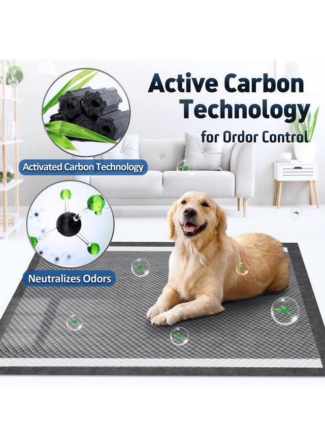 جيمارس فوط جيمارز للتحكم في الروائح، 4XL، 36×36، فوط فحمية للكلاب - 9 طبقات، فائقة الامتصاص، كبيرة جدًا، مانعة للتسرب، سريعة الجفاف، 45 قطعة - Image 2