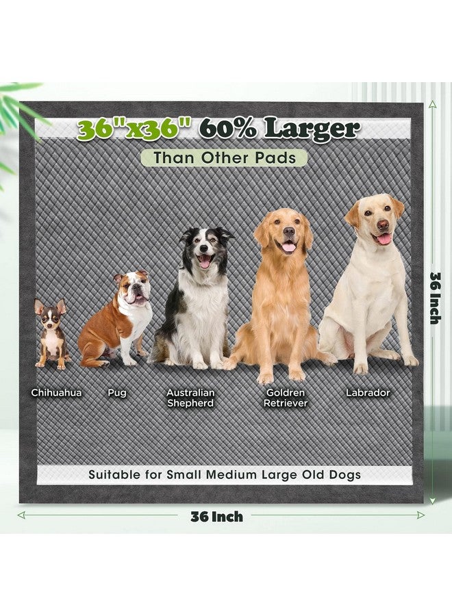 جيمارس فوط جيمارز للتحكم في الروائح، 4XL، 36×36، فوط فحمية للكلاب - 9 طبقات، فائقة الامتصاص، كبيرة جدًا، مانعة للتسرب، سريعة الجفاف، 45 قطعة - Image 3
