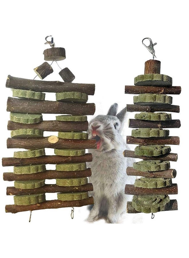 Hamiledyi Bunny Chew Toy for Teeth,Guinea Pig Natural Organic Fruitwood Sticks with Grass Cake for Rabbits,Chinchillas,Gerbils, Squirrels, Hamsters, Chewing/Improve Dental Health - Image 1