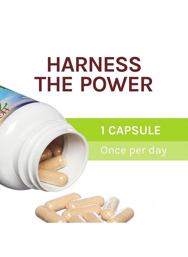 Agarikon Capsules Balanced Immune Support Mushroom Supplement 60 Capsules Unflavored