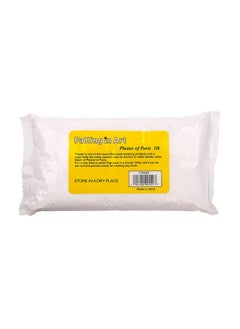 Falling In art Falling in Art 1lb Plaster of Paris Powder - Hand Mold Casting Kit Powder, Gypsum Cement, Pottery & Ceramic Plaster Powder for Crafts, Sculpture, Diorama and Home Decor  - Image 1