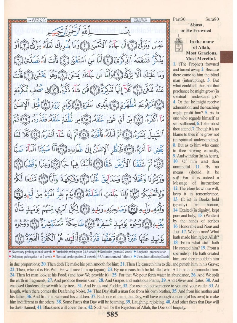 Juz Amma Tajweed Qur’an with English translation and audio printing medium size 17*24 (box containing 10 pieces) - Image 4