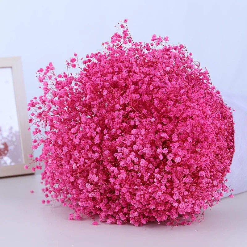Bluejw Outlet Wedding Decor – Dried Baby's Breath Bouquet | Natural Preserved Gypsophila Flowers for Rustic & Boho Arrangements | Long-Lasting Dried Plants for Home & Event Decoration - Image 1